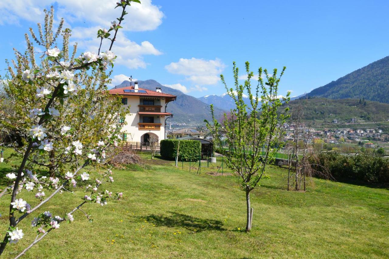 Il Gallo Pergine Valsugana Exterior foto